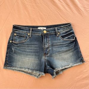 STS BLUE | Aubrey High Rise Denim Shorts Size 28 — 2.5in inseam | NWOT